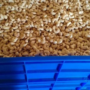 Raw Cashew Nuts Wholesale At Competitive Price