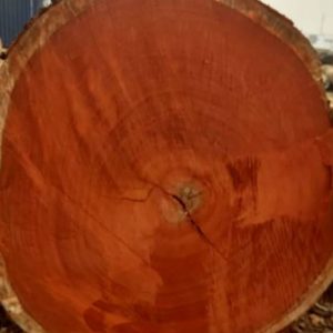 African Tali Wood Log