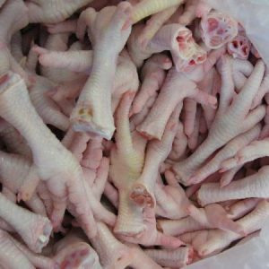 Frozen Chicken Feet for Sale