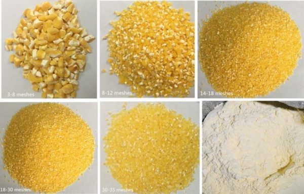 Corn Grits Wholesale