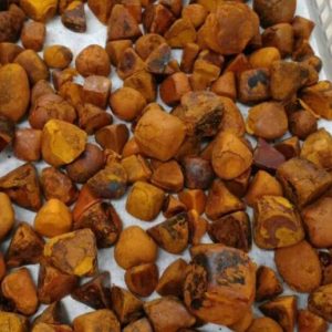 OX Cow Gallstones