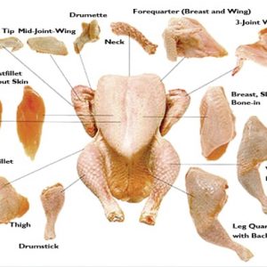 Frozen Chicken Parts